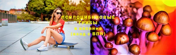 сатива Балабаново