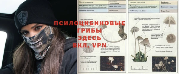 стафф Балахна