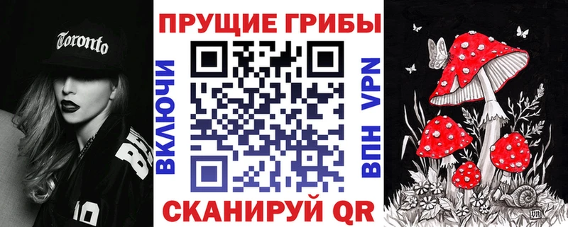 Галлюциногенные грибы Psilocybine cubensis Гатчина